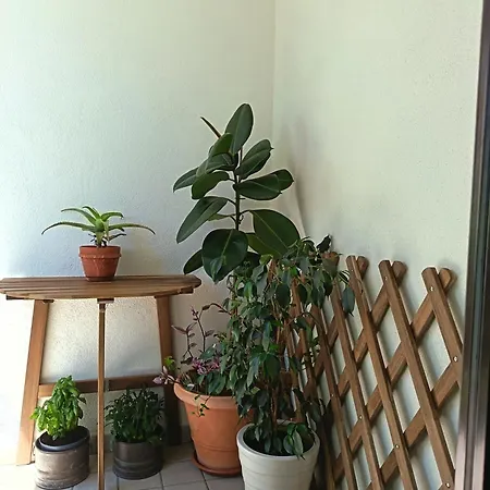 Casa Del Corso 27 Prázdninový dům Sirolo
