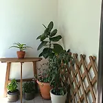 Casa Del Corso 27 Holiday home Sirolo